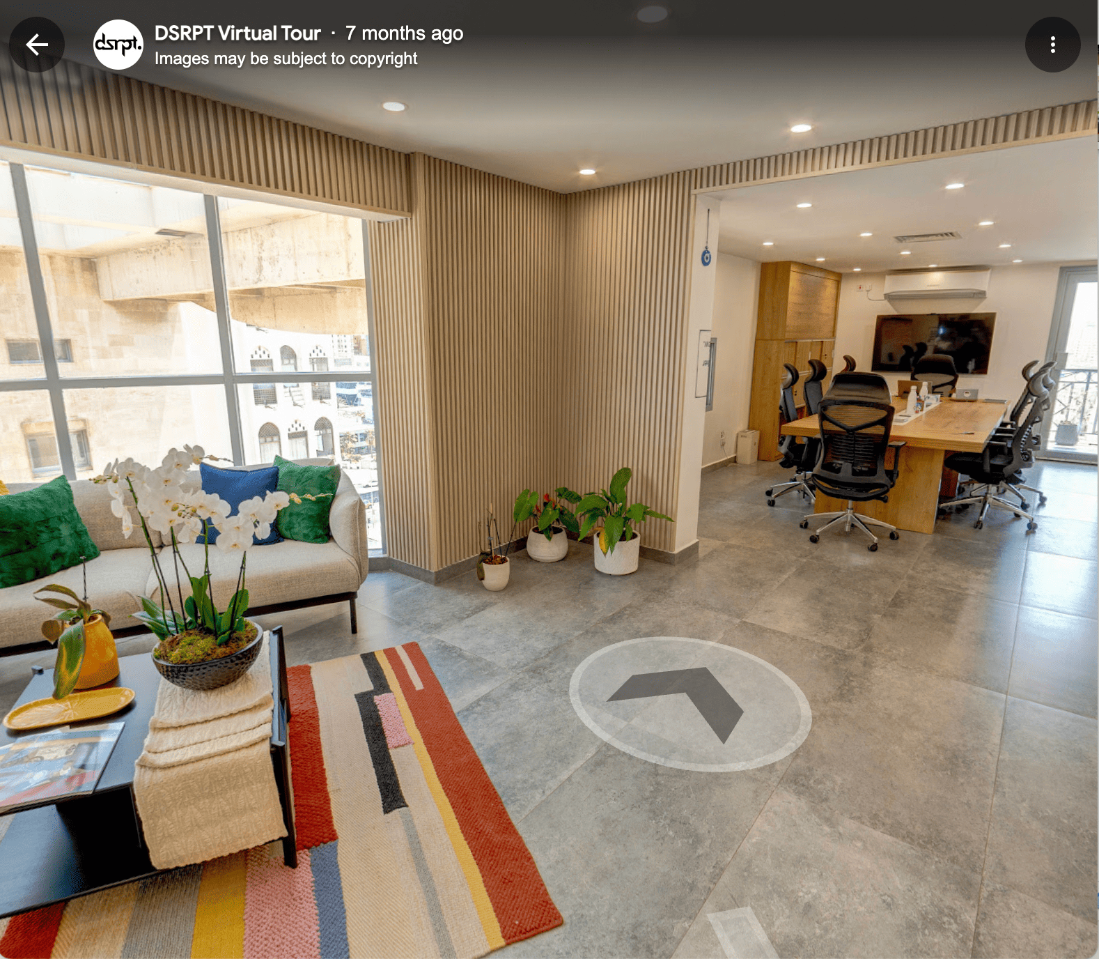 Google Business View